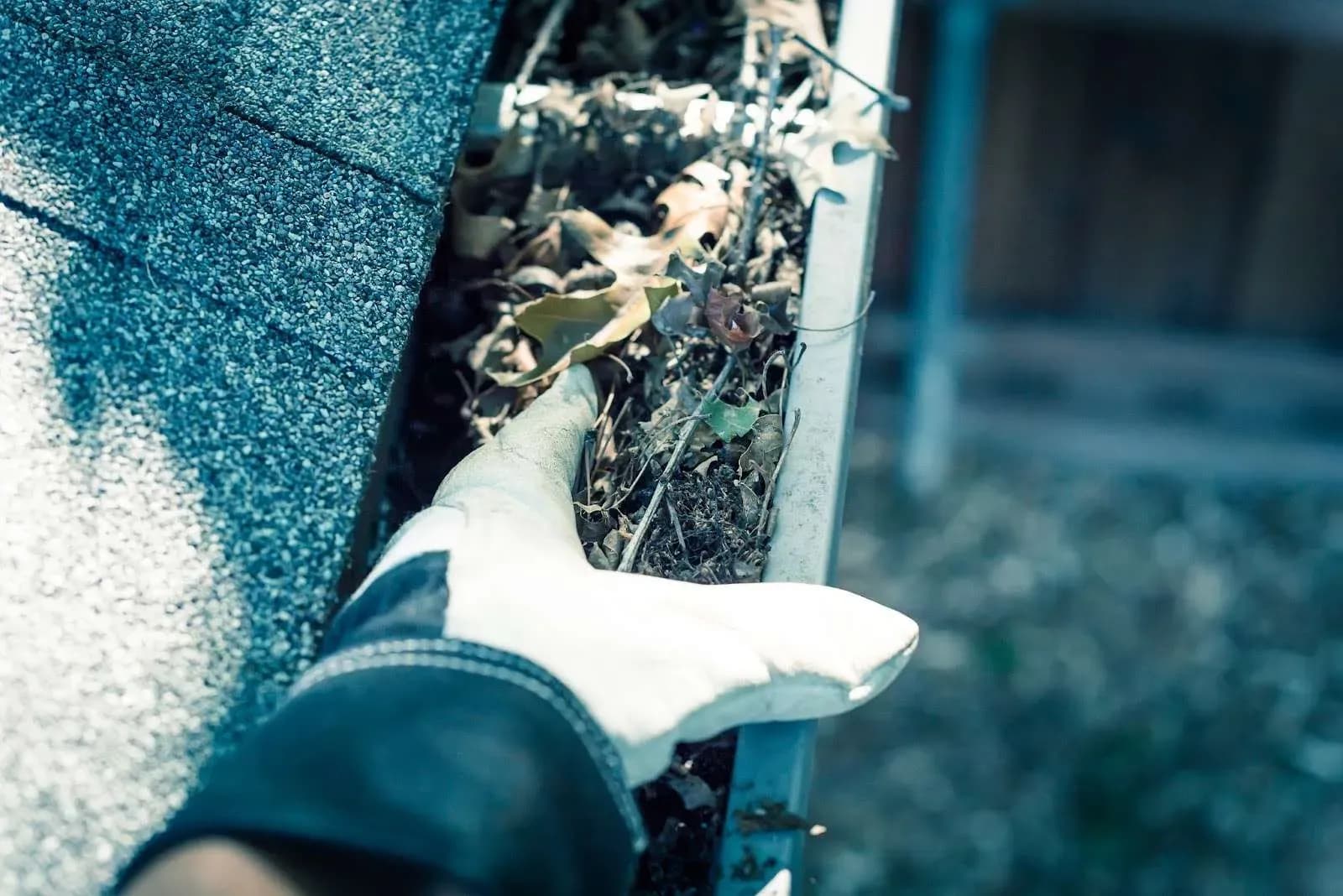 What Damage Can Blocked Gutters Do?