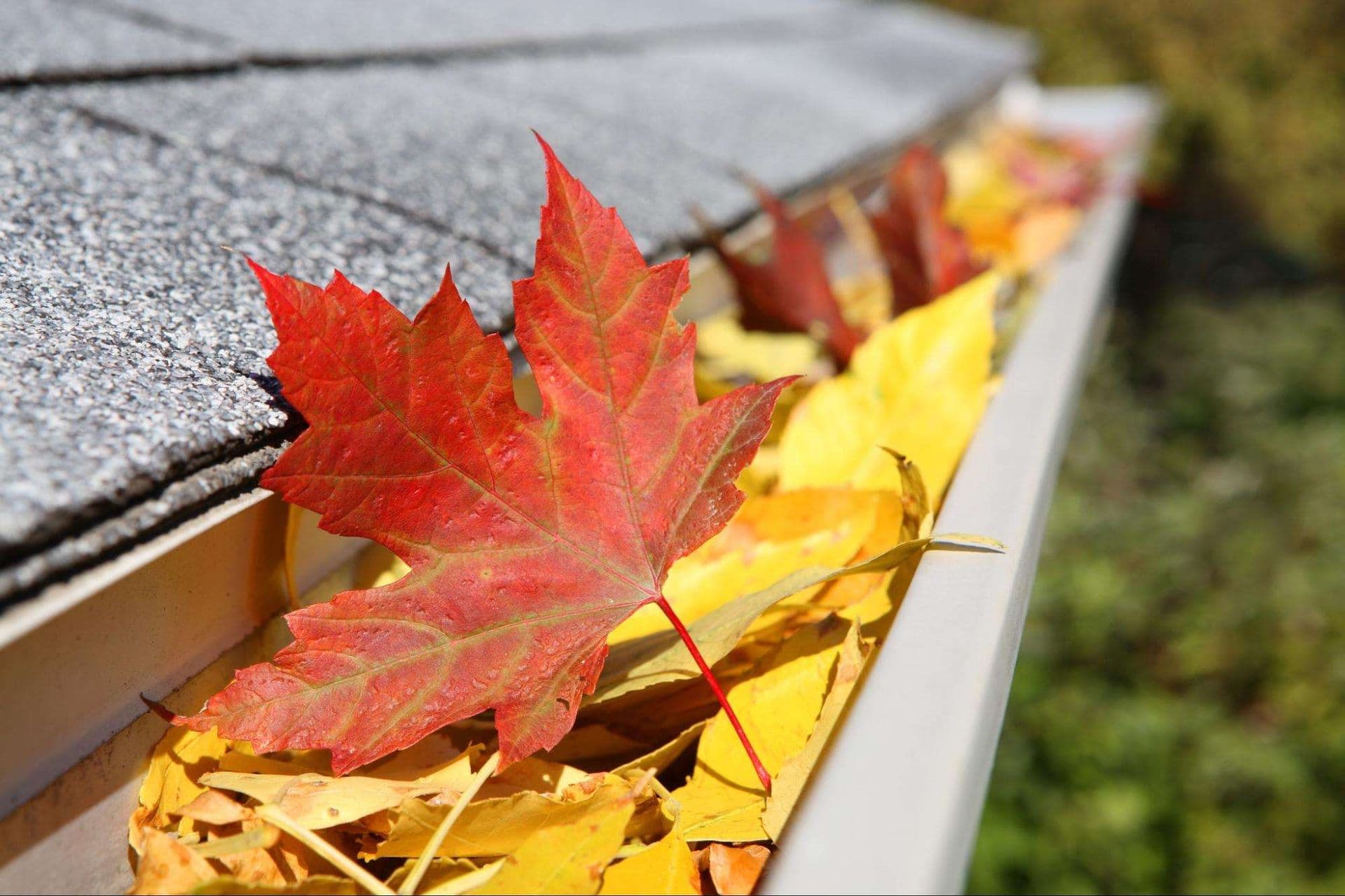 leaf protection gutters