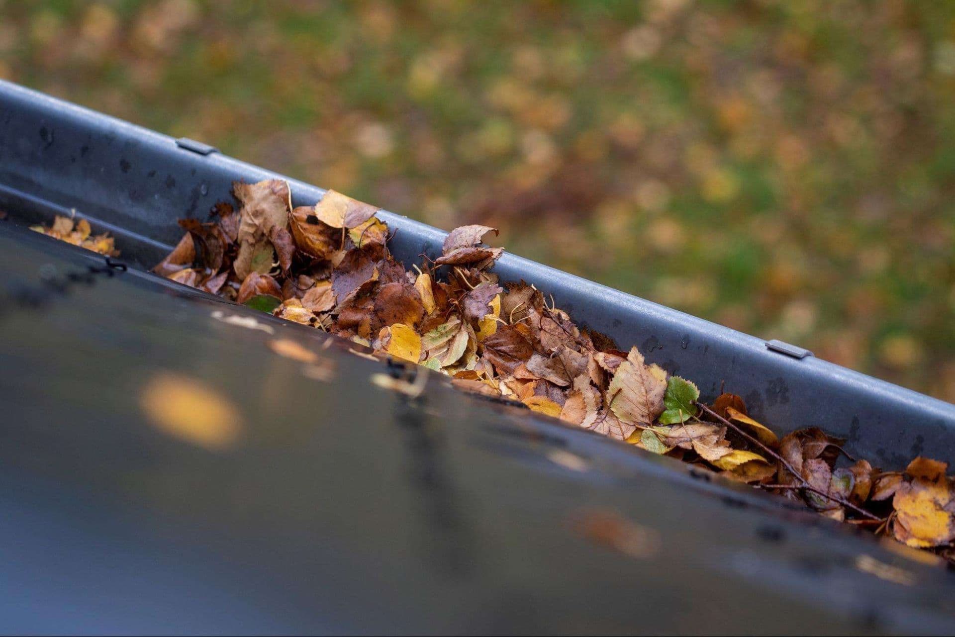 leaf protection gutters